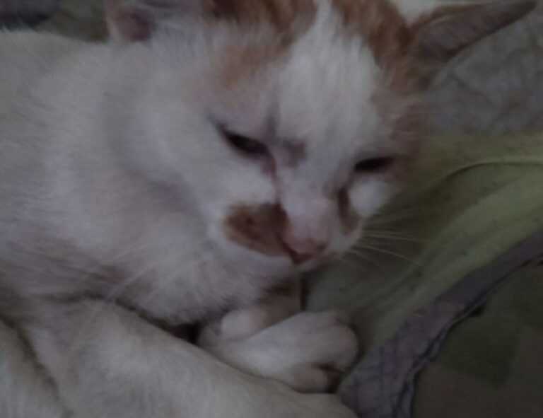 how air conditioner uy48lo works in house