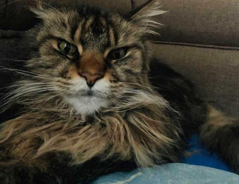 how to use a lamp lwtc148