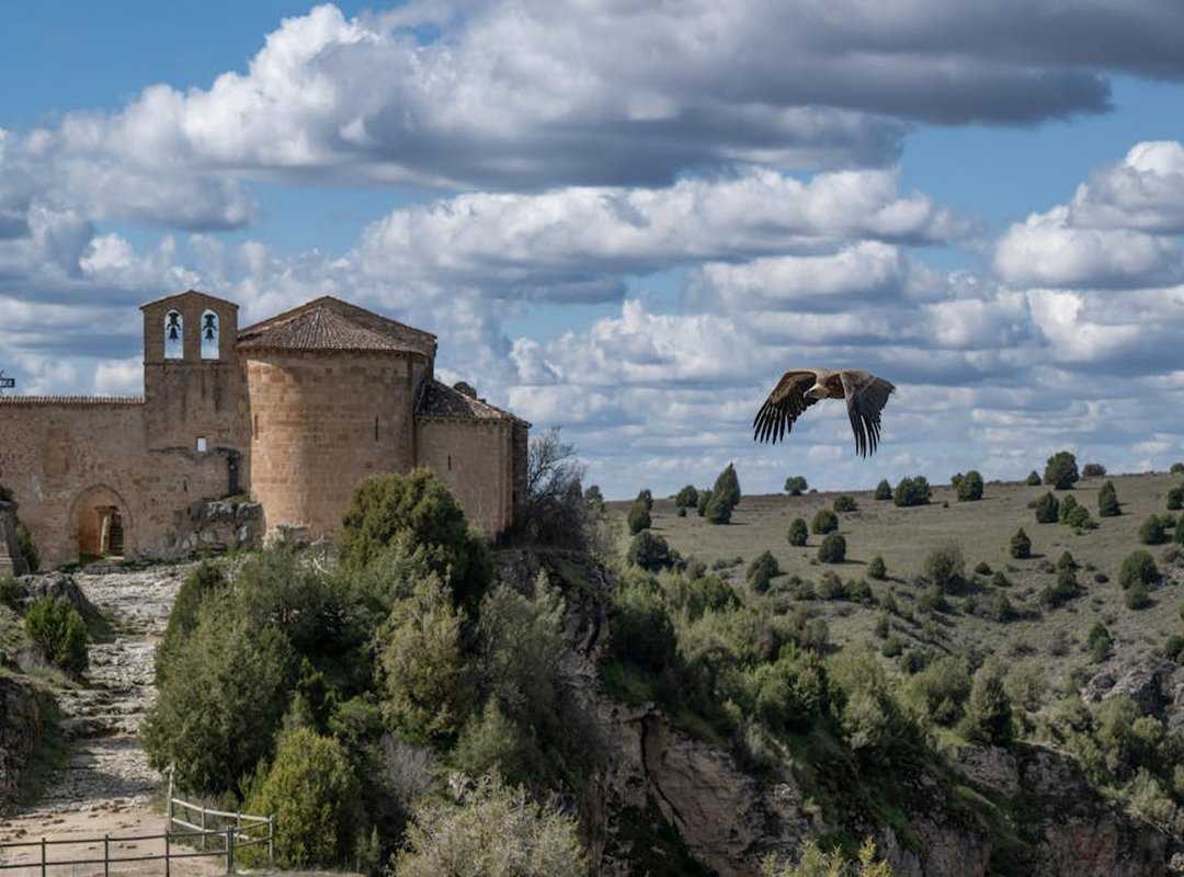 Roles y Dinámicas: Más Allá de Dominante y Sumiso
