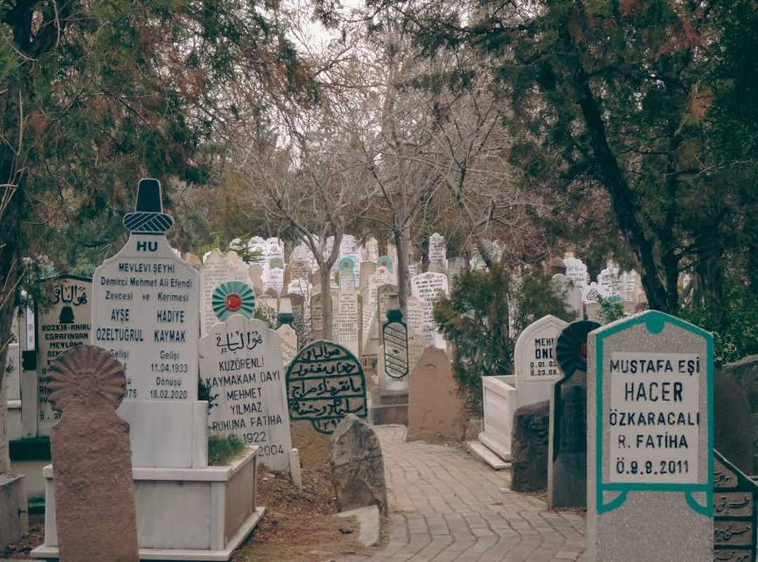 Cultural Impact and Legacy