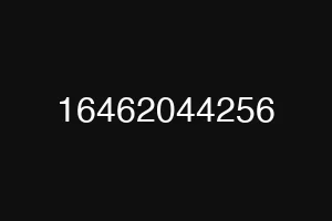16462044256