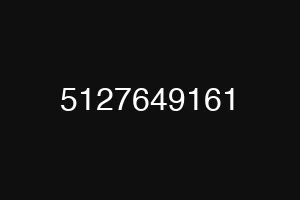 5127649161