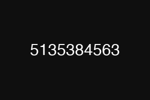5135384563