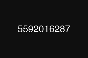 5592016287