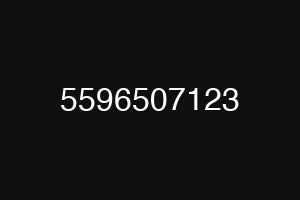 5596507123
