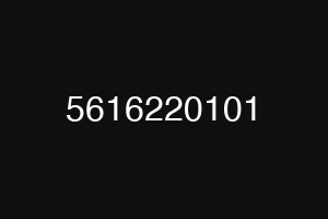 5616220101