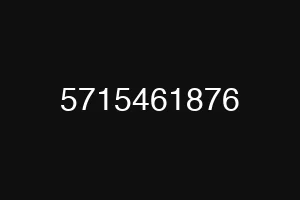 5715461876
