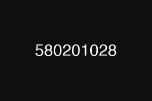 580201028