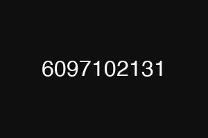 6097102131