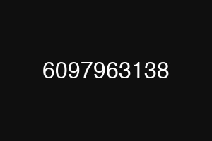 6097963138