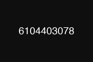 6104403078