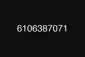 6106387071