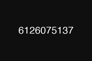 6126075137