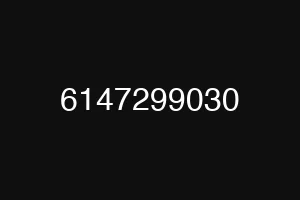 6147299030