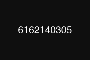 6162140305