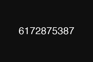 6172875387