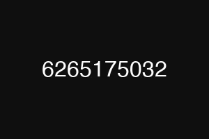 6265175032