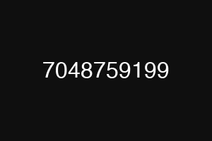7048759199