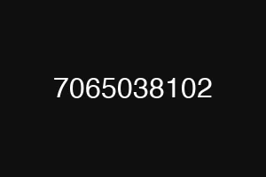7065038102