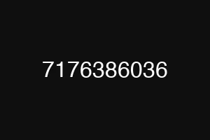 7176386036