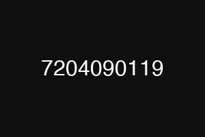 7204090119