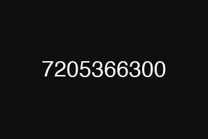 7205366300