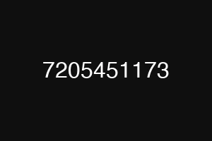 7205451173