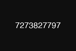 7273827797