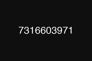 7316603971
