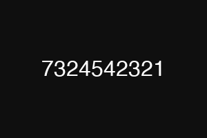 7324542321