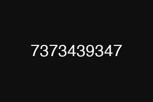 7373439347