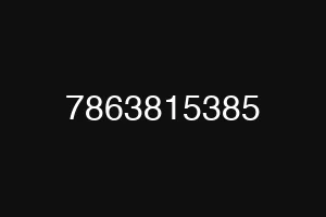 7863815385