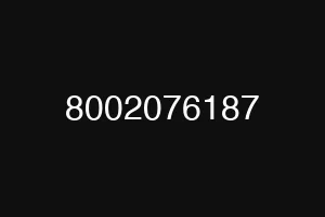 8002076187