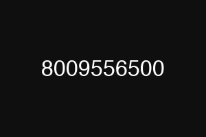 8009556500