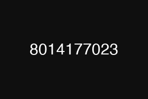8014177023