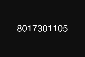 8017301105