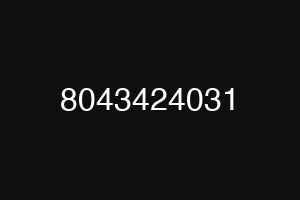 8043424031