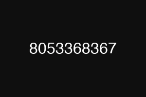 8053368367
