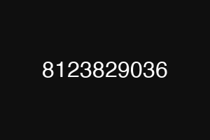 8123829036